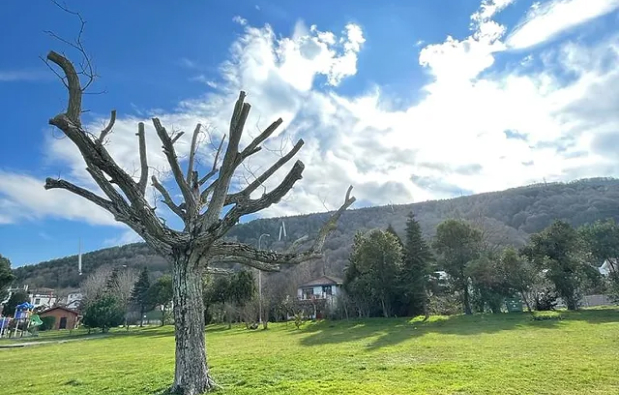 Bağdat Caddesi